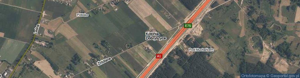 Zdjęcie satelitarne Kolonia Dobryszyce ul.